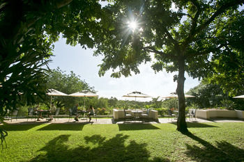 Terrace or Patio