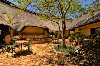 Terrace or Patio