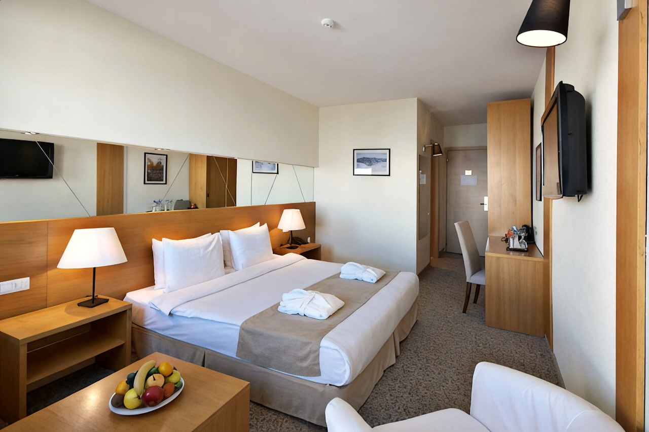Hotel Gudauri Marco Polo Room Type - Standard Room