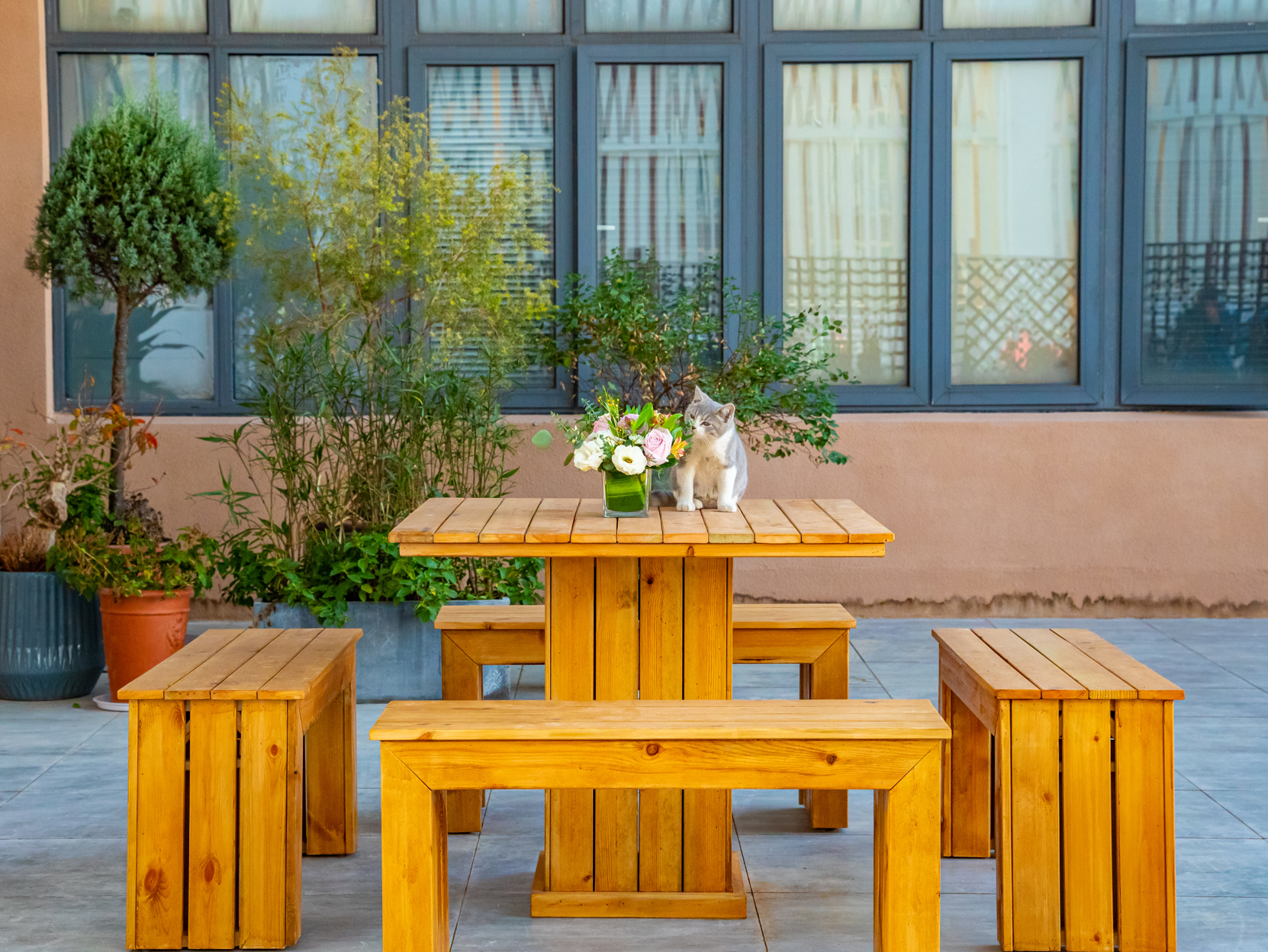 美豪丽致酒店(上海颛桥万达店) photo 2