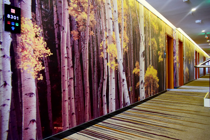Hotel Interior or Public Areas