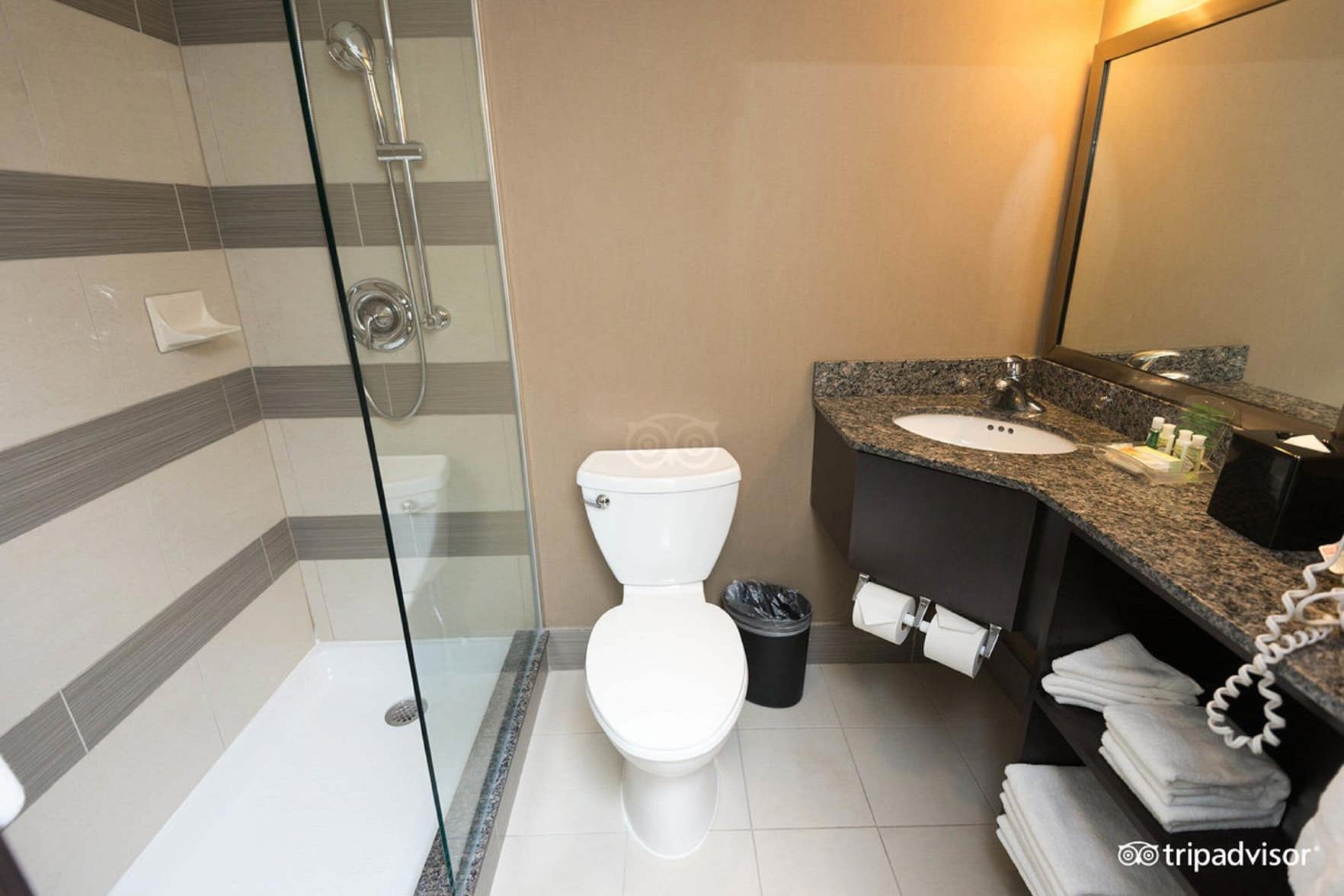 Holiday Inn TORONTO DOWNTOWN CENTRE Room Type - 1 Queen Standard Mobility Accessible Roll In Shower