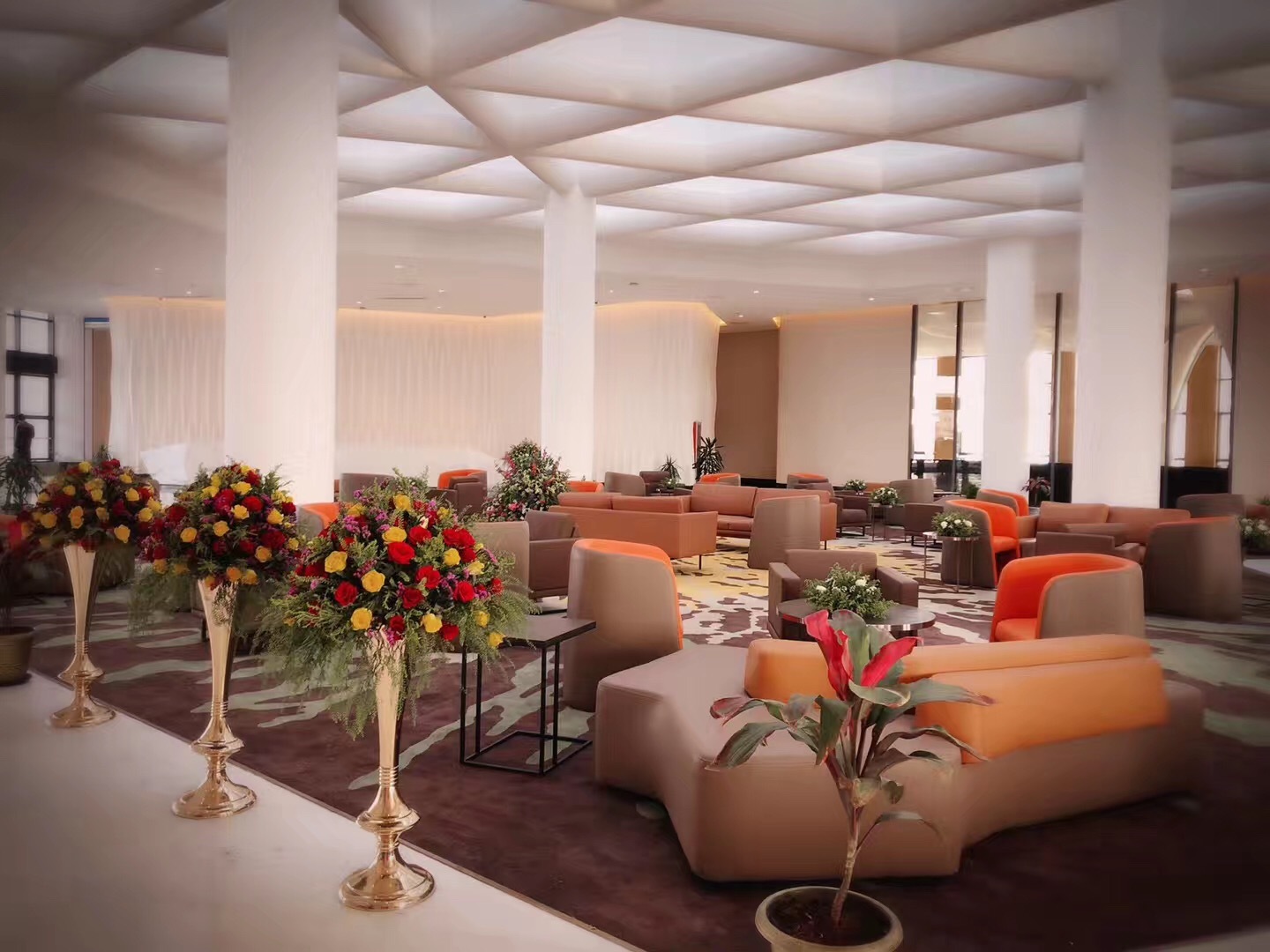 Hotel Interior or Public Areas