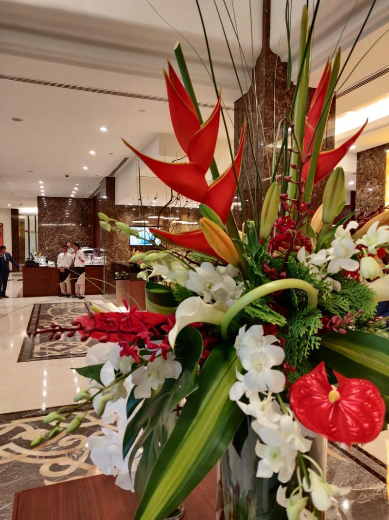 Hotel Interior or Public Areas