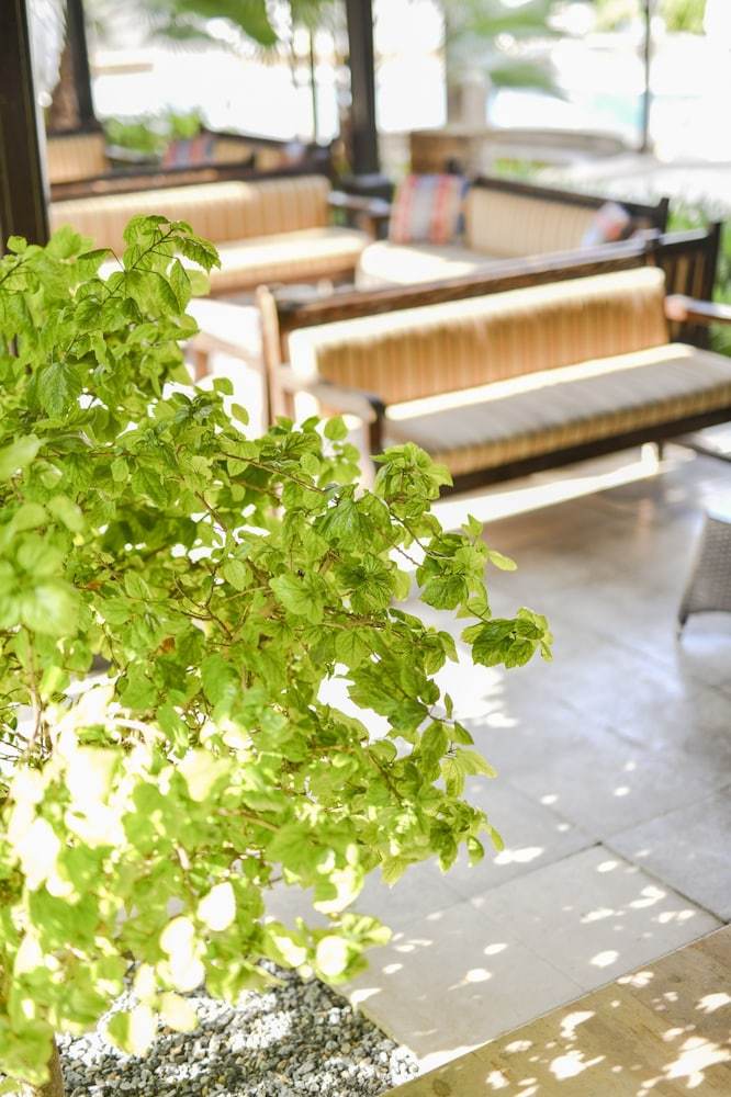 Terrace or patio:1000px