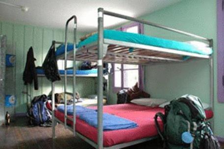 Other 3, Funny Farm Backpackers, Interlaken