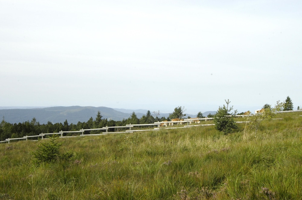 Others, Wellness- & Nationalpark Hotel Schliffkopf, BWSC, Ortenaukreis