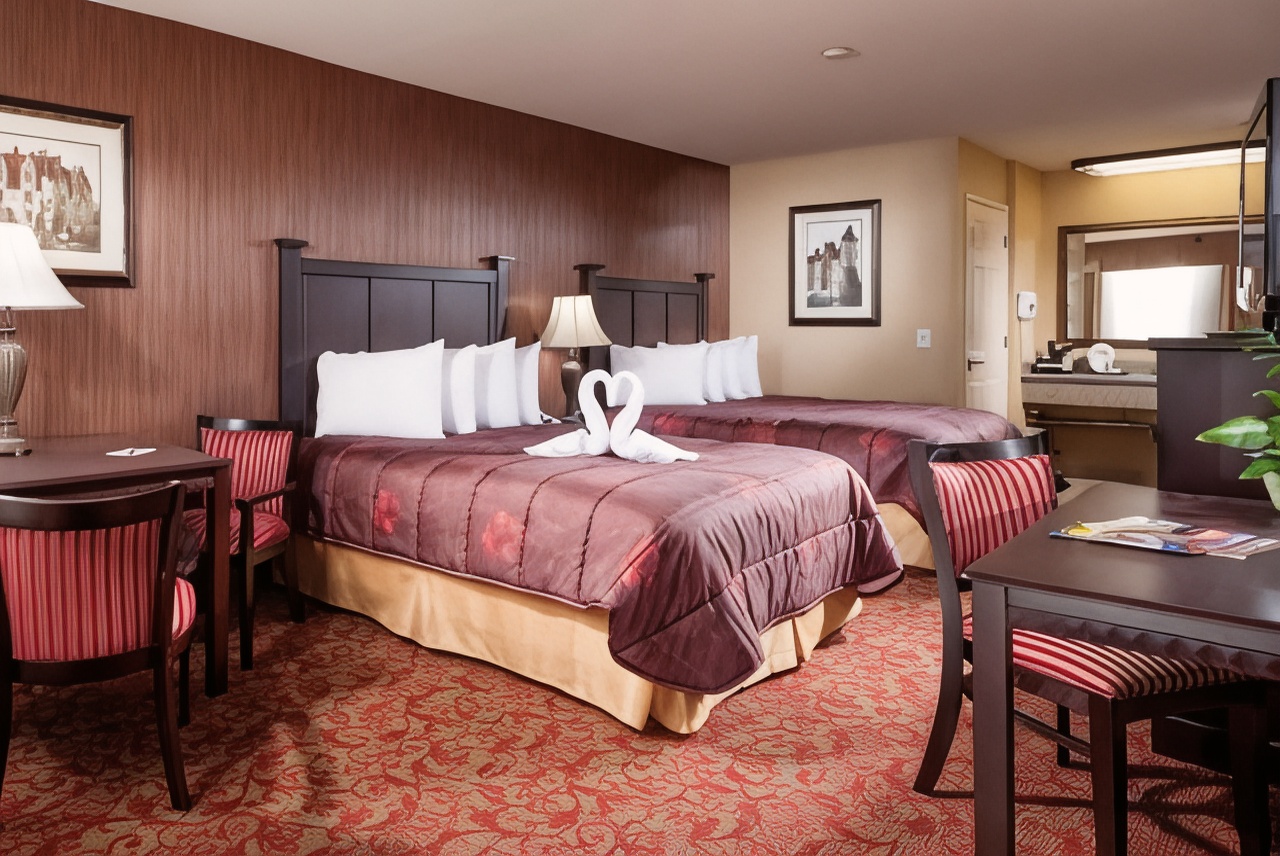 Castle Inn and Suites Room Type - Standard Room