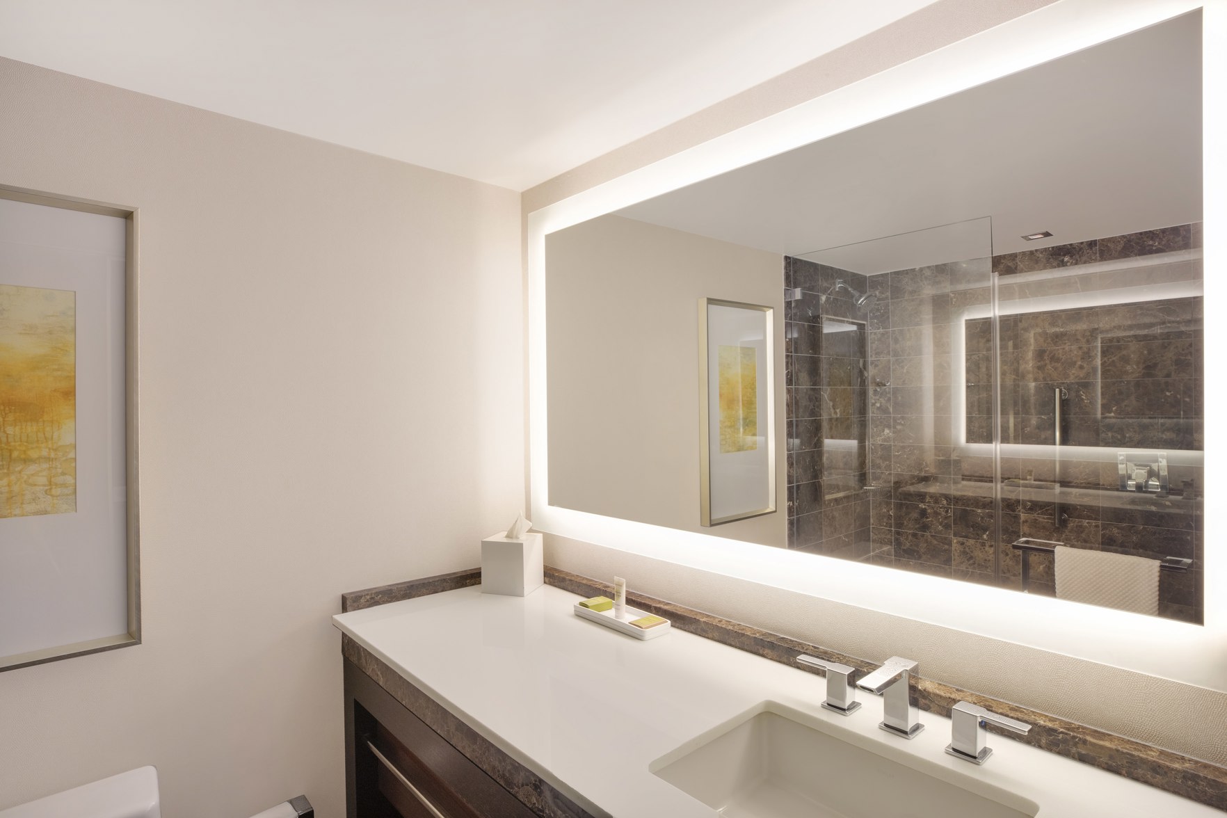 HILTON MCLEAN TYSONS CORNER Room Type - 1 KING RELAXATION ROOM