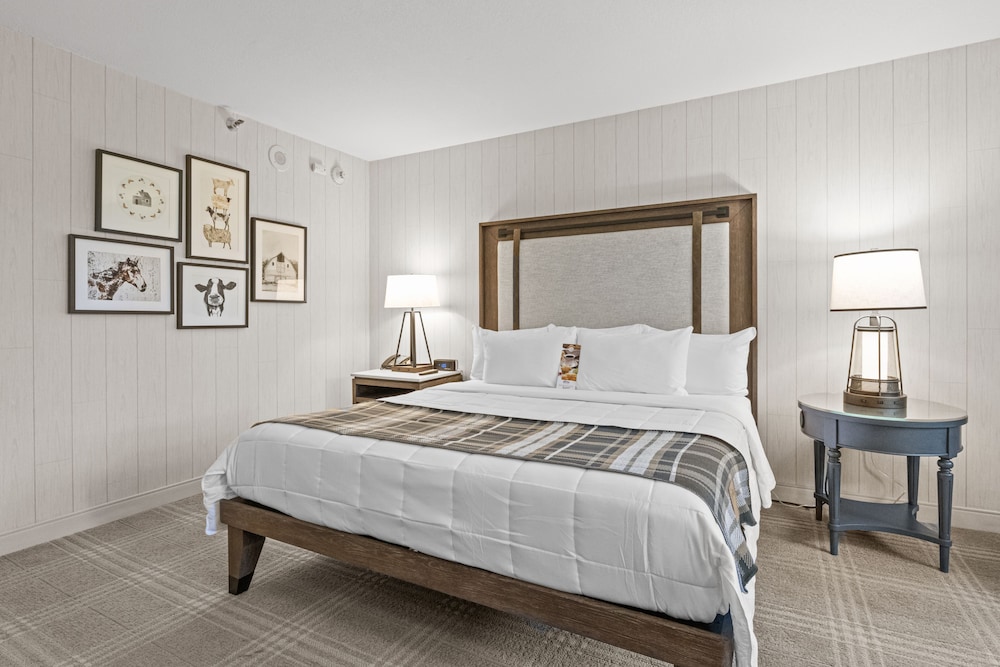 Knott's Hotel Room Type - Standard Room, 1 Queen Bed