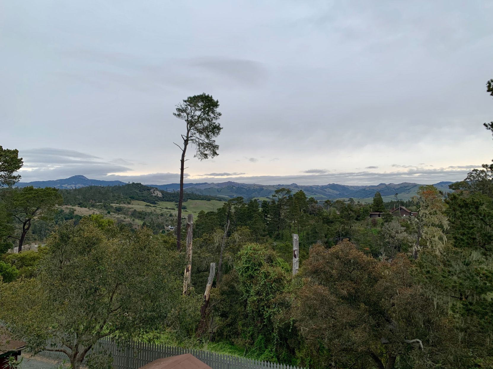Cambria Pines Lodge Room Type - Standard Room, 2 Queen Beds, Garden View