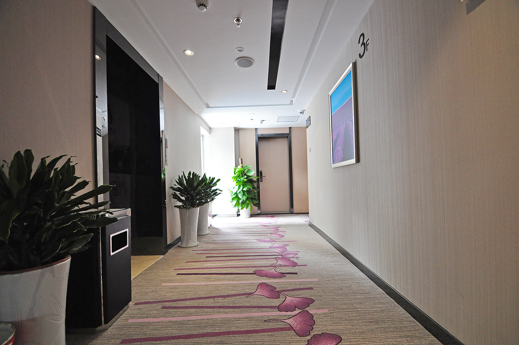 红枫酒店(南京新街口张府园地铁站店) photo 3