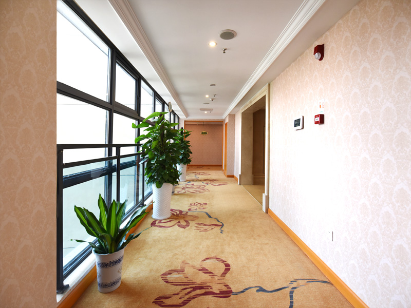 维也纳国际酒店(长沙紫薇路马栏山店) photo 3