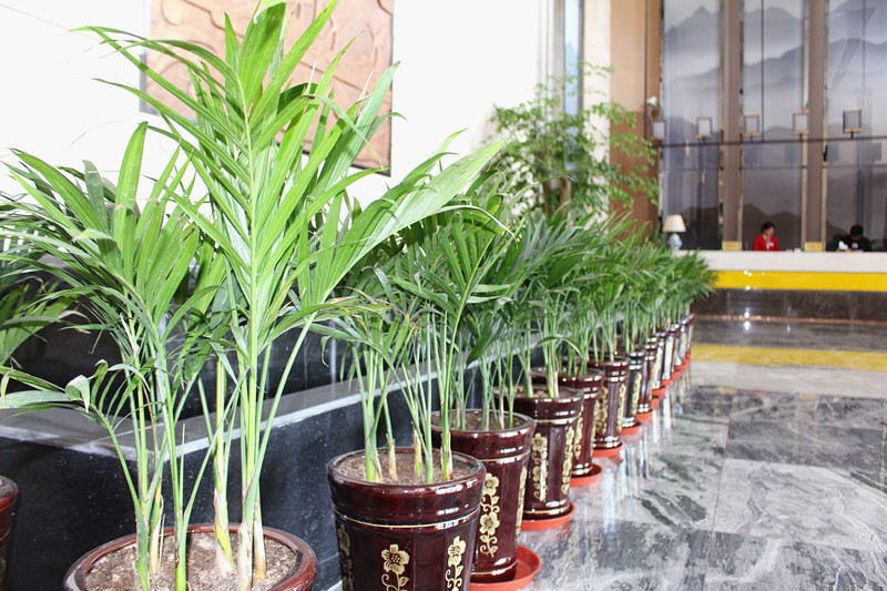 Mingzhu Hotel photo 3