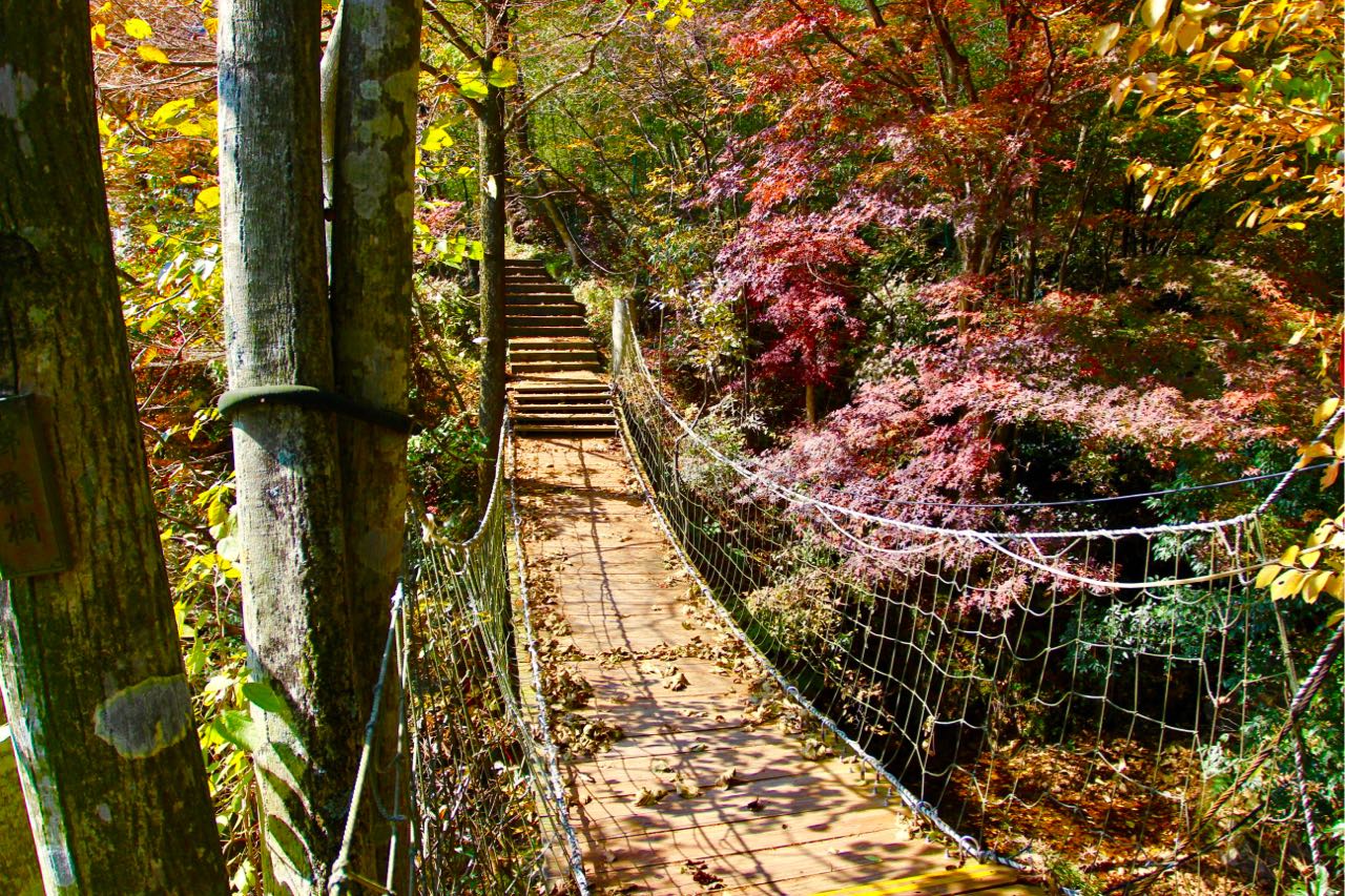 杭州临安方庄温泉避暑度假山庄 photo 3