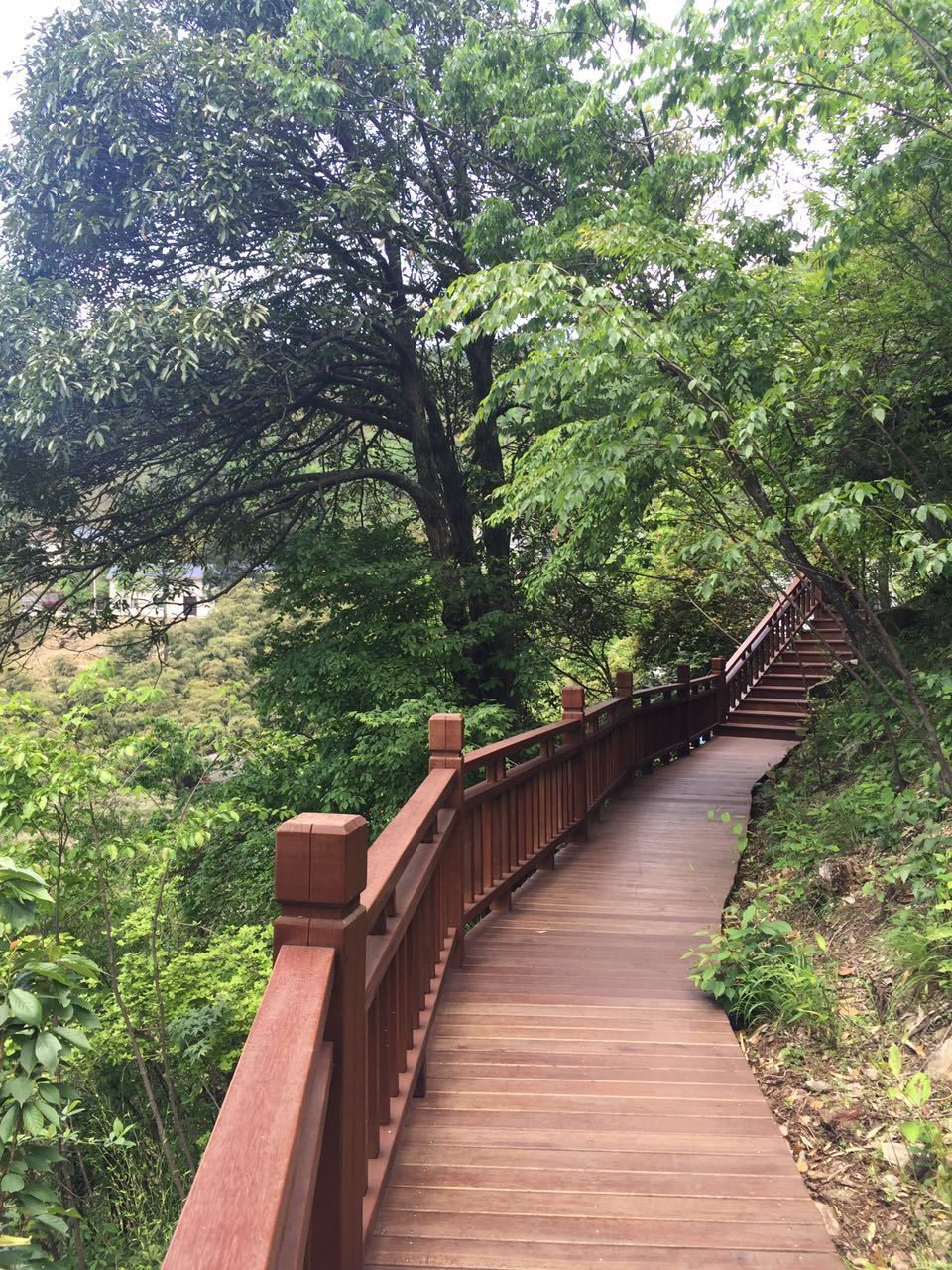 杭州临安方庄温泉避暑度假山庄 photo 4