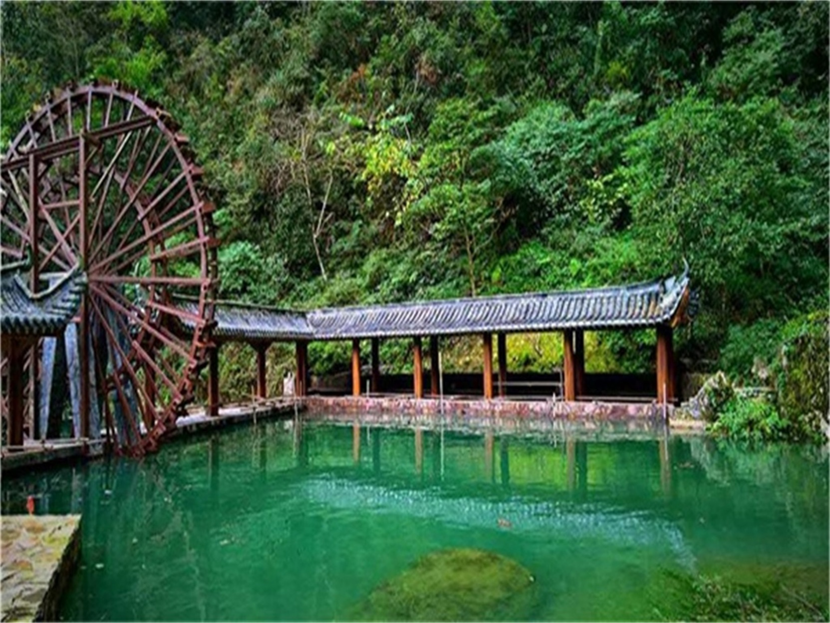 West Lake International Resort photo 5