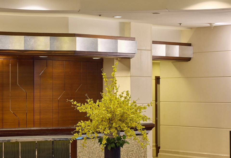Public Areas