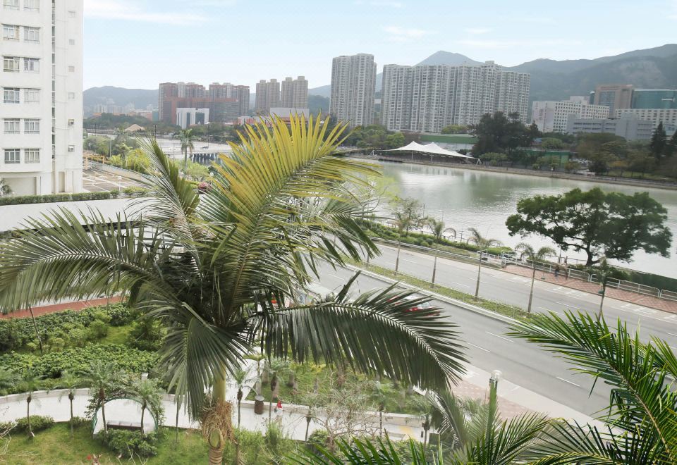 View from Hotel