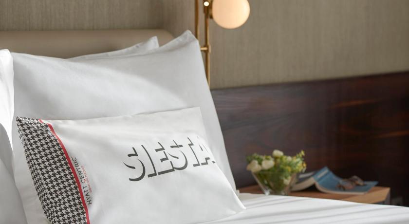 Hyatt Centric Gran Via Madrid Room Type - King Room with Terrace and Gran Via View
